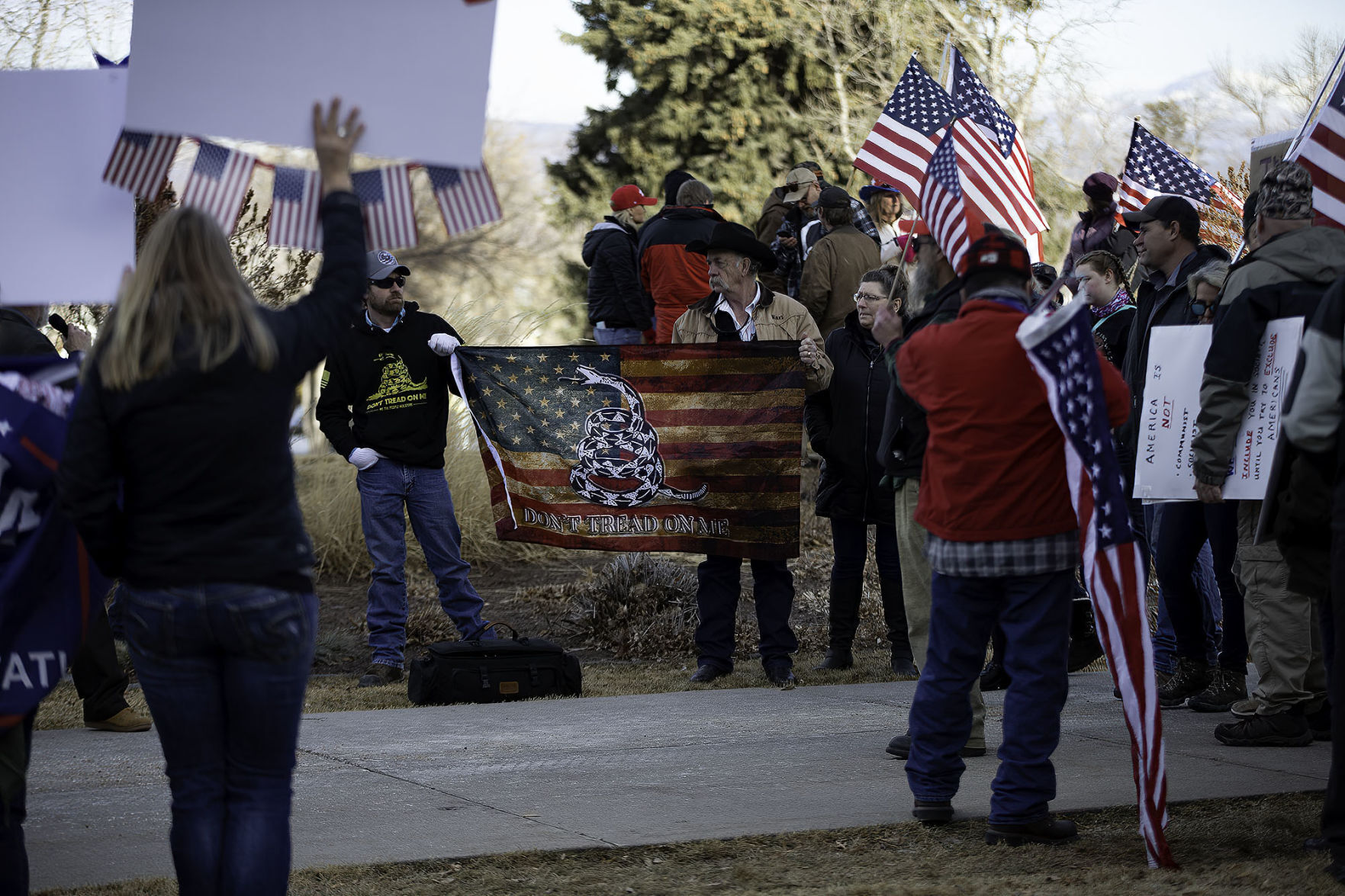 Stop the Steal Protest